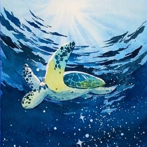 step by step painting sea turtle paint by watercolor