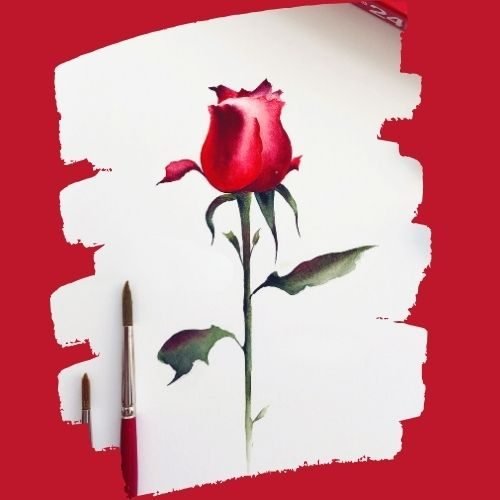 step by step painting a red rose paint by watercolor