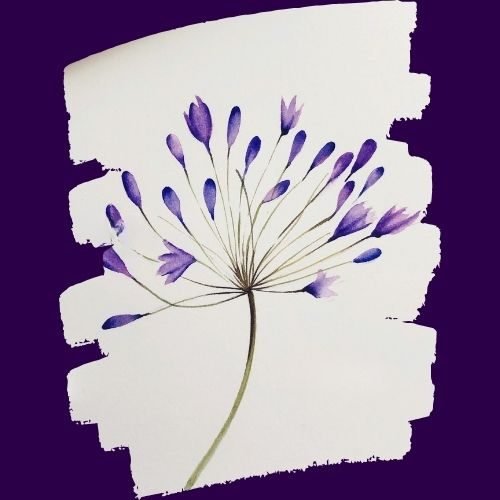step by step painting African lily paint by watercolor