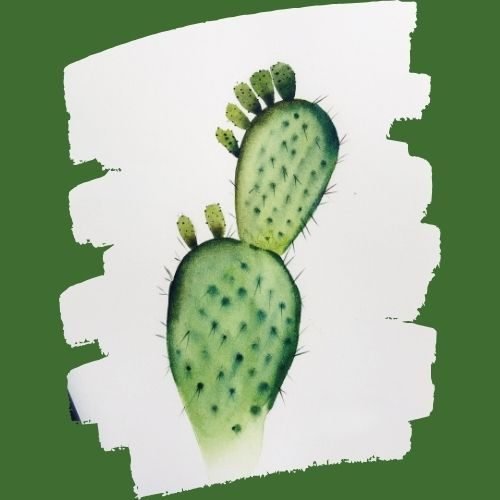 step by step painting cactus paint by watercolor