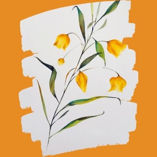 step by step painting yellow oleander flower paint by watercolor