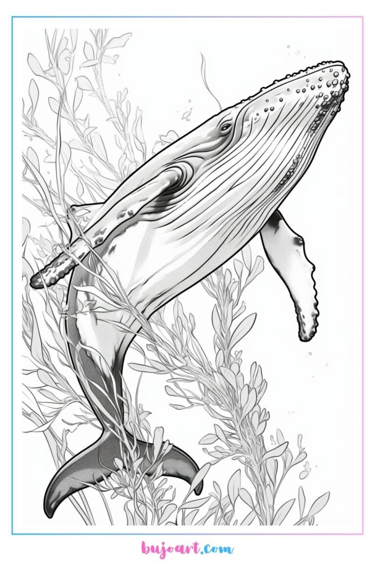 whale coloring pages printable