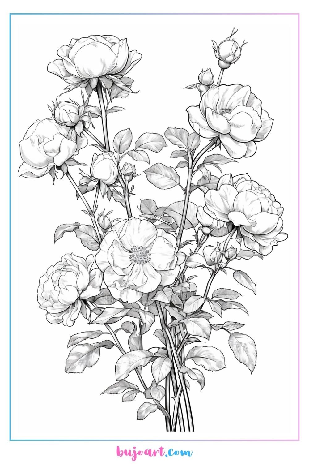 rose bush coloring page rose coloring pages printable