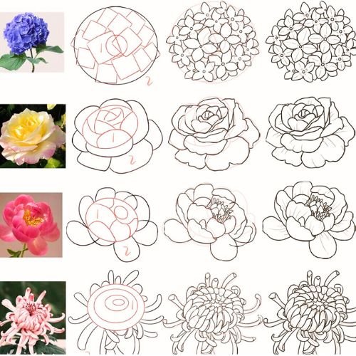 32+ Drawing Ideas Easy Doodles of Plants