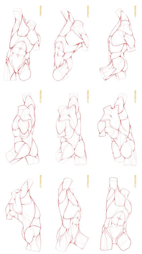 How to Draw a Body Like a Pro – BUJO ART